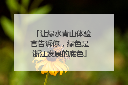 让绿水青山体验官告诉你，绿色是浙江发展的底色